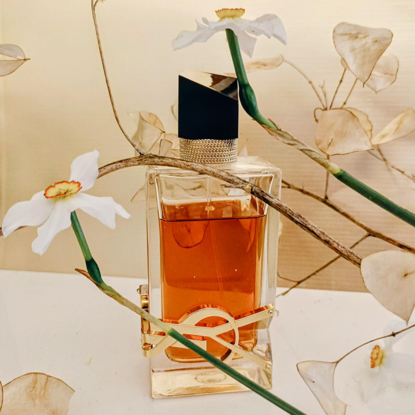 Yves Saint Laurent Libre Intense for women 3oz